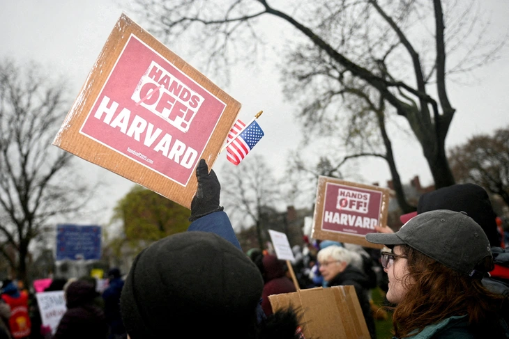 Harvard - Ảnh 1.