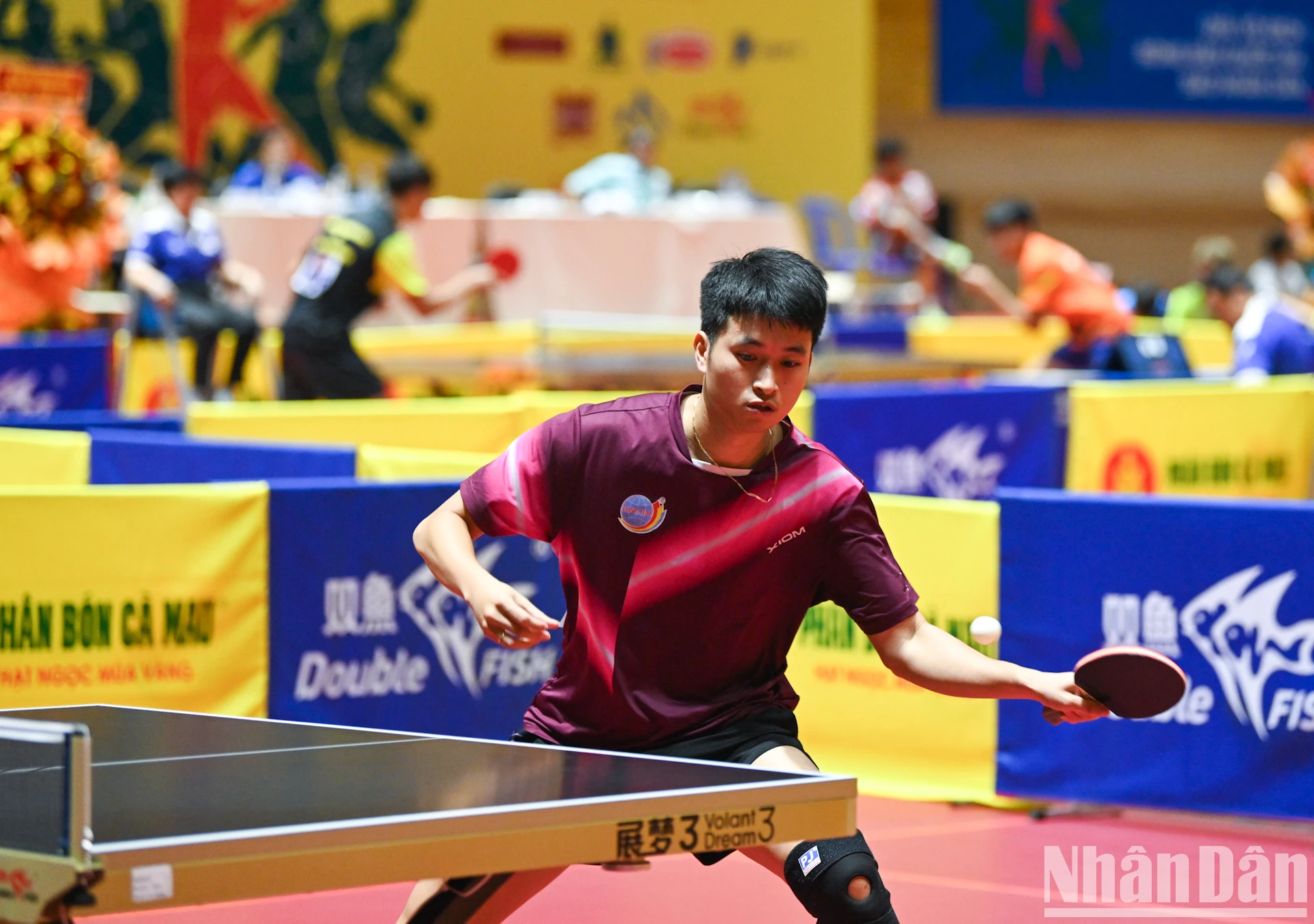 【写真】2025年ニャンダン新聞全国卓球選手権にトップ選手が集結 写真5