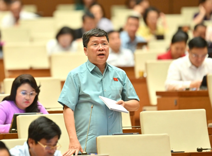 Đại biểu Tạ Văn Hạ phát biểu.
