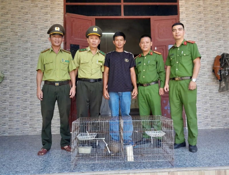 ชาวบ้านมอบตัวลิ่นชวาหายาก เต่าภูเขาสีทอง และงูเหลือมลายตาข่าย -0