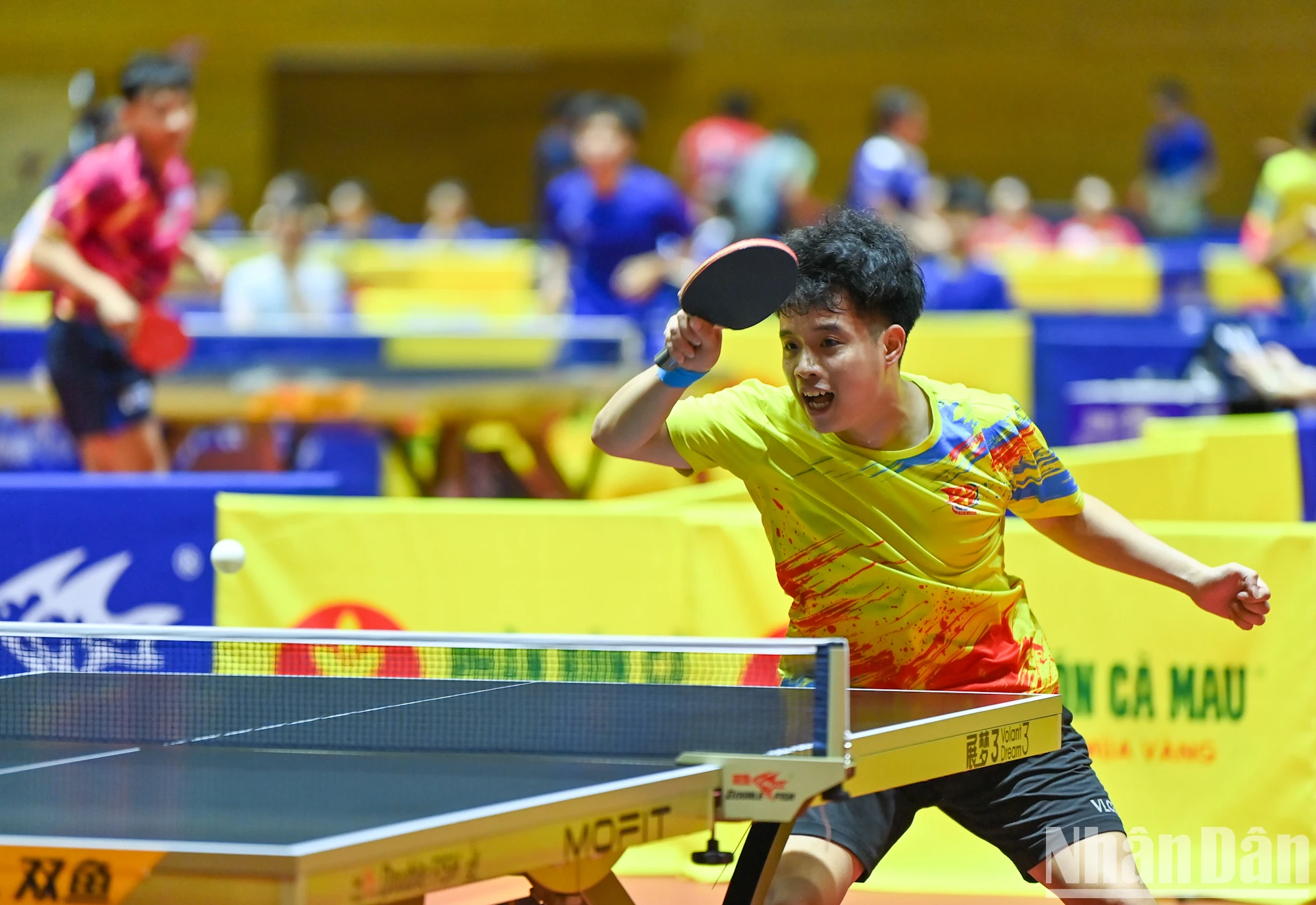 【写真】2025年ニャンダン新聞全国卓球選手権にトップ選手が集結 写真9