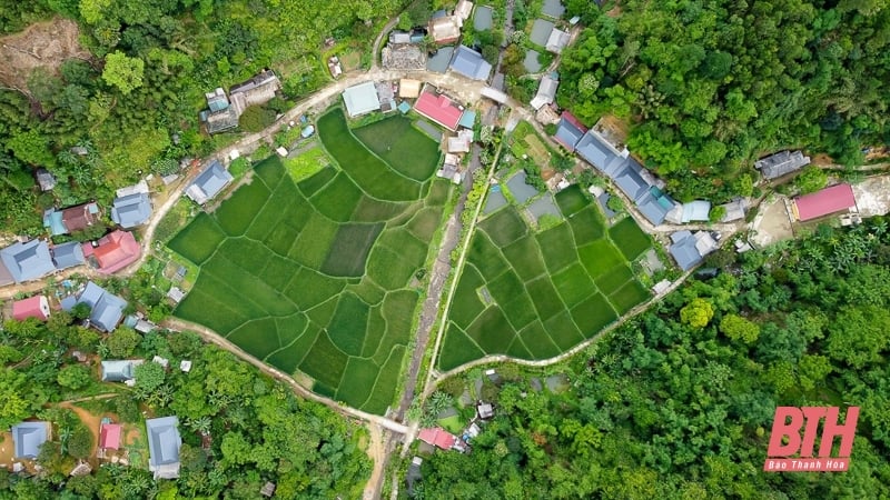ខូវ មួង ភ្ញាក់នៅកណ្តាលព្រៃ