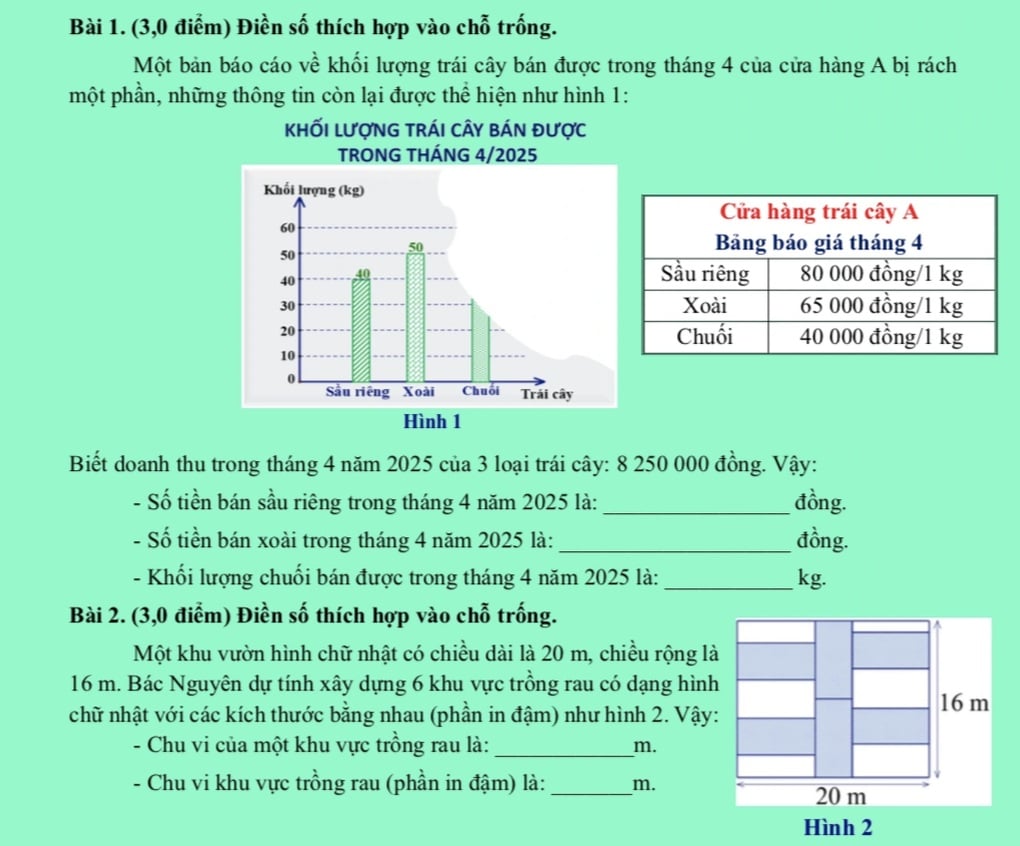 Đề khảo sát vào lớp 6 các trường hot ở TP Thủ Đức - 10