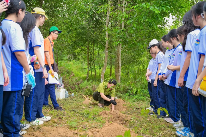 Những giờ học sống động của học sinh chuyên Sinh tại Vườn quốc gia Cúc Phương ảnh 3