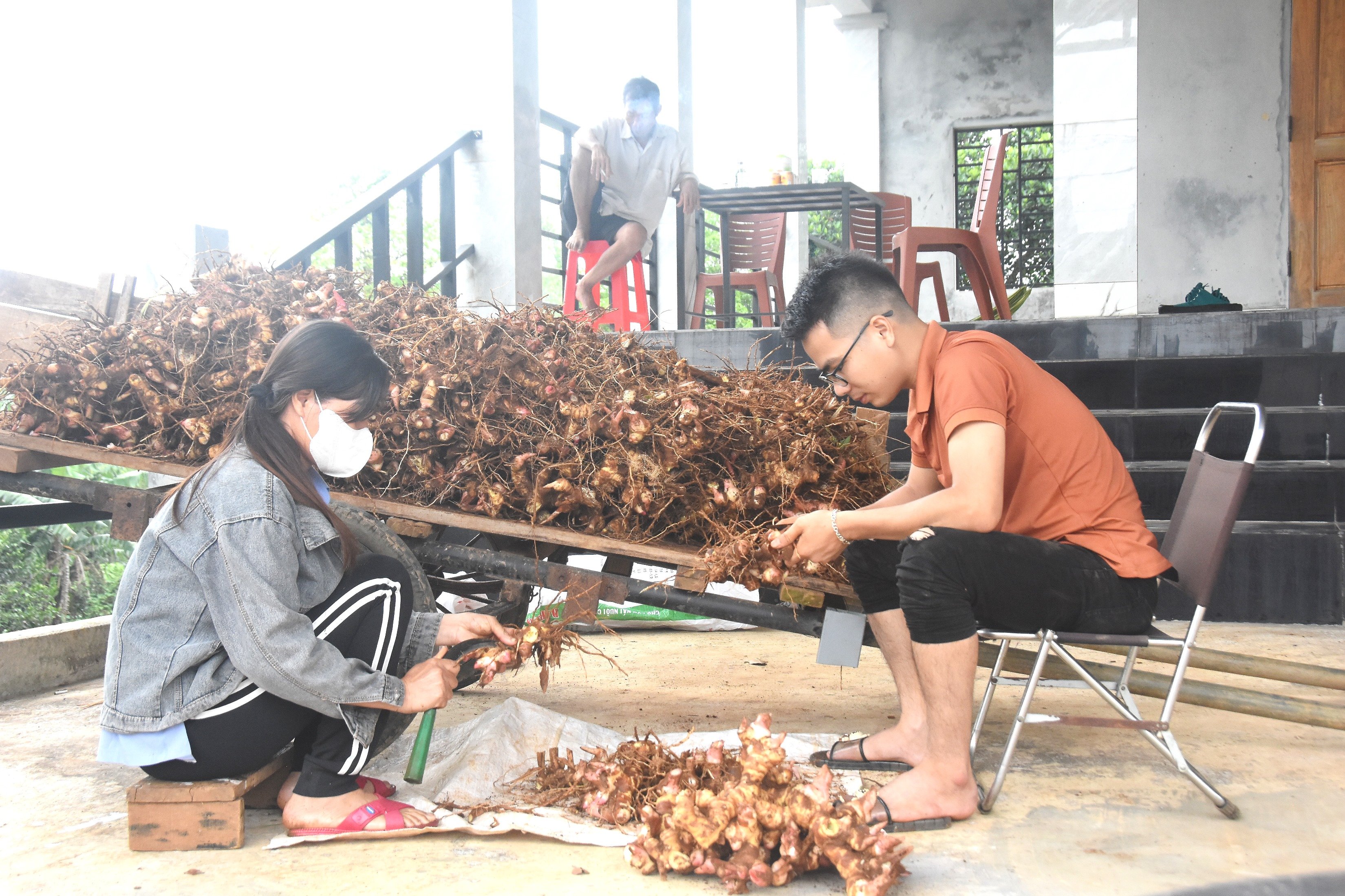 កសិករ​នៅ​តំបន់ Cua រក​ចំណូល​បាន​យ៉ាង​ល្អ​ពី​ដំណាំ​ខាត់ណា