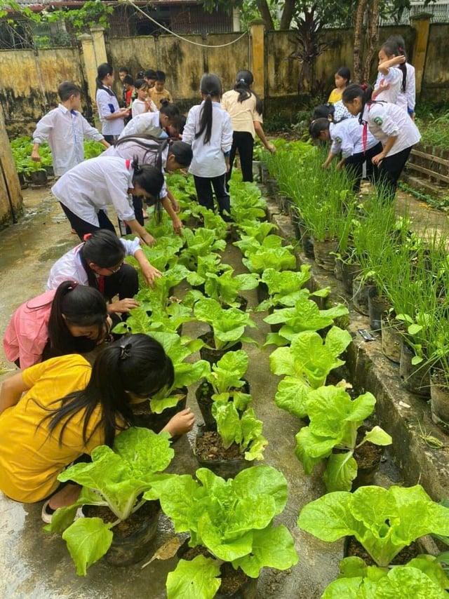Đủ kiên trì rác sẽ nở hoa- Ảnh 3.
