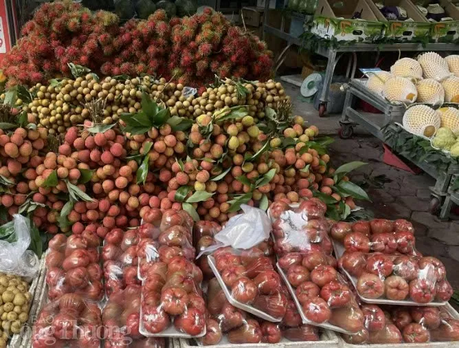 Vải đầu vụ giá cao, người dân ‘đau ví’ vẫn tìm mua
