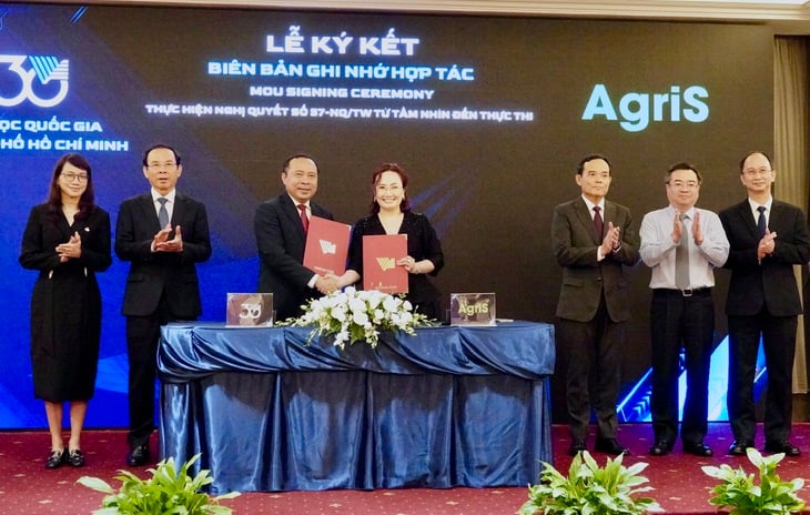Trần Lưu Quang - Ảnh 2.