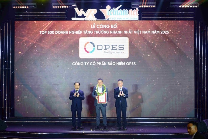 OPES dẫn đầu ngành bảo hiểm phi nhân thọ trong bảng xếp hạng FAST500- Ảnh 1.