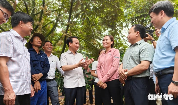 Phải kiểm soát chất lượng sầu riêng từ vườn đến từng công hàng xuất khẩu - Ảnh 1.
