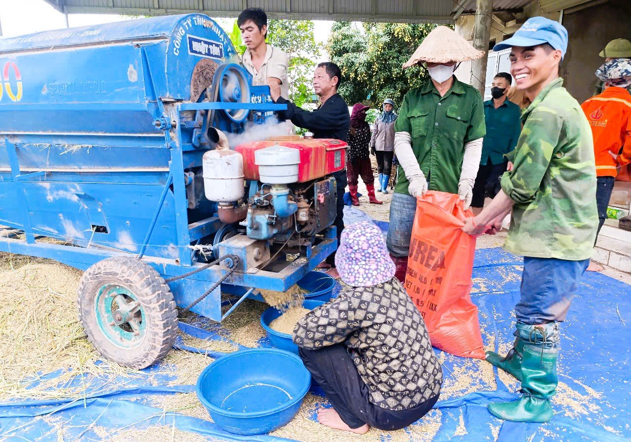 ប្រជាជននៅឃុំ Tan Trinh (Quang Binh) រំភើបចិត្តព្រោះដំណាំស្រូវល្អ គ្រាប់ធញ្ញជាតិរឹងមាំ។