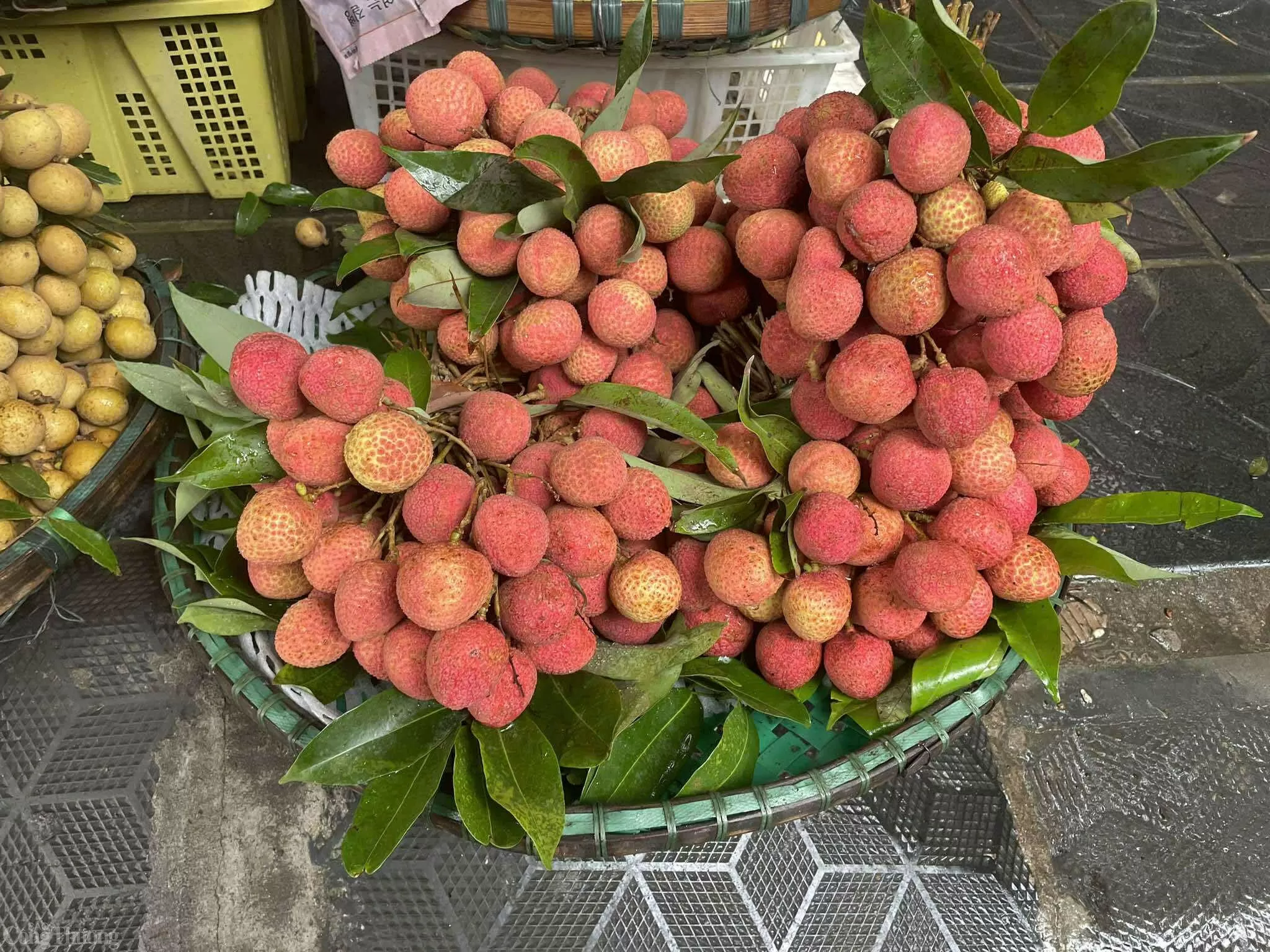 Vải đầu vụ giá cao, người dân ‘đau ví’ vẫn tìm mua