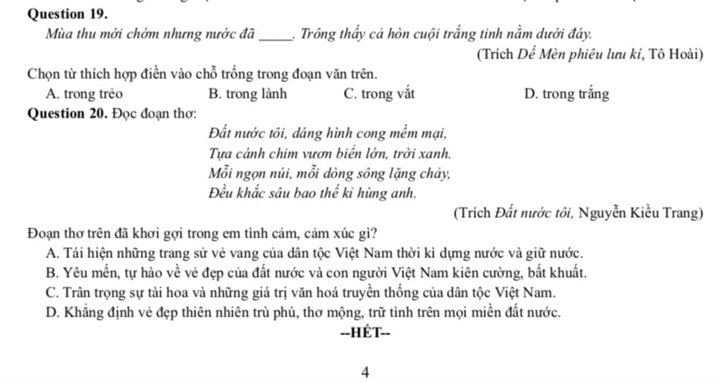 Đề khảo sát vào lớp 6 các trường hot ở TP Thủ Đức - 9