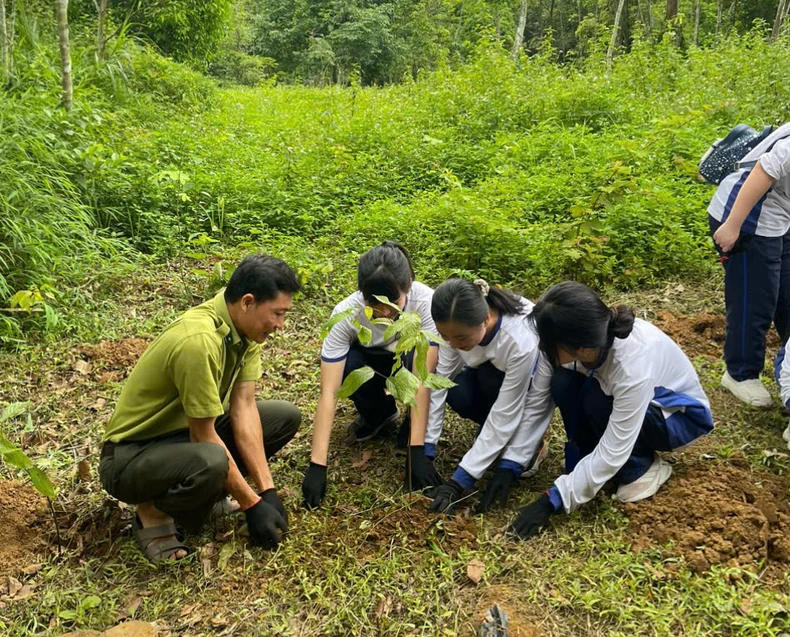 Những giờ học sống động của học sinh chuyên Sinh tại Vườn quốc gia Cúc Phương ảnh 1