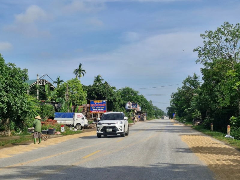 ផ្លូវ​ក្លាយ​ជា​កន្លែង​សម្ងួត​ស្រូវ -0