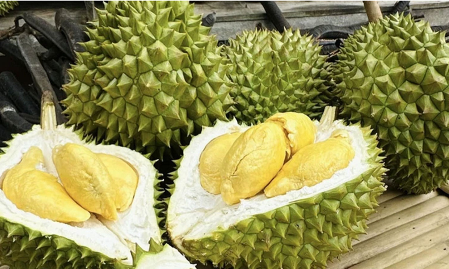 Kiểm soát tồn dư, bảo đảm an toàn thực phẩm cho sầu riêng xuất khẩu