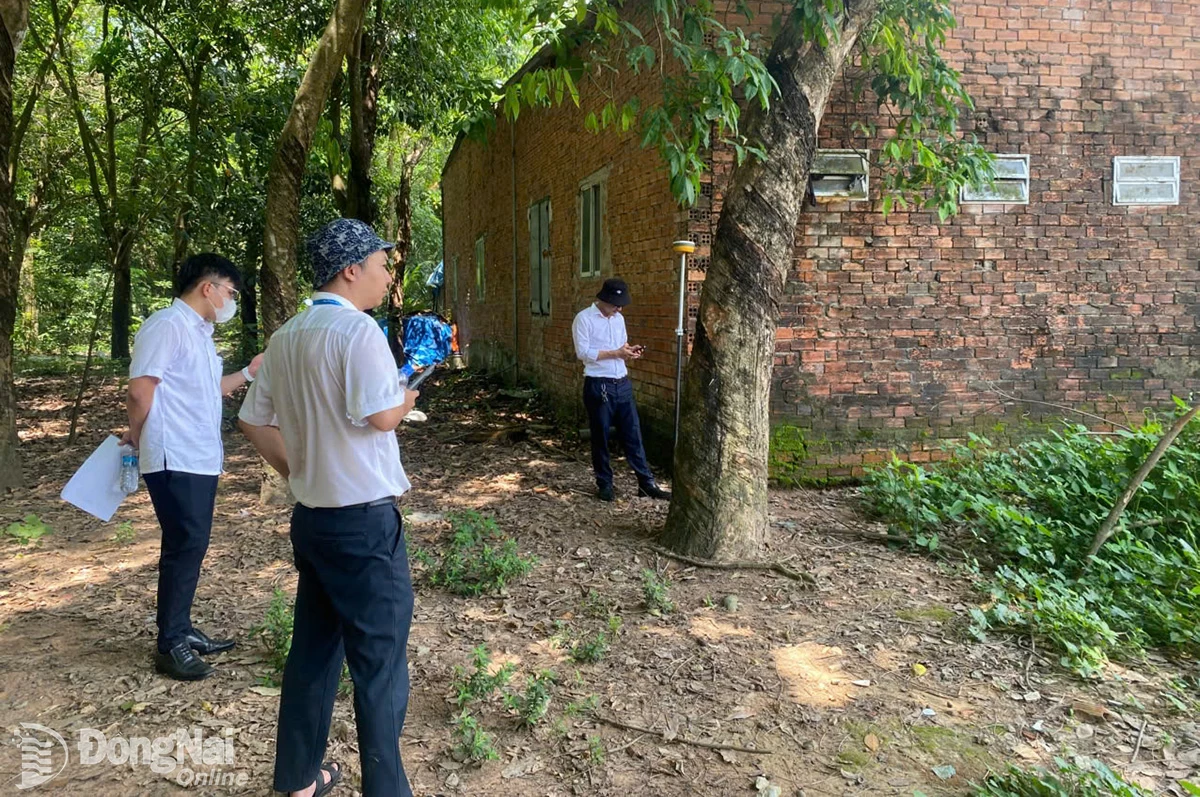 Experts from the Department of Science and Technology coordinated with relevant units to measure and mark the planning area for the project of the Concentrated Information Technology Park in Long Thanh District. Photo: Contributor   