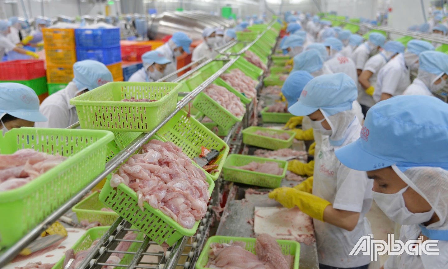 Công nghệ chế biến thủy sản xuất khẩu không ngừng được đầu tư.