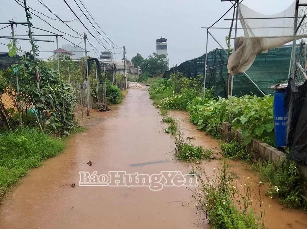 Mưa lớn gây ngập cục bộ ở một số tuyến đường ra đồng ở xã Xuân Quan (Văn Giang)