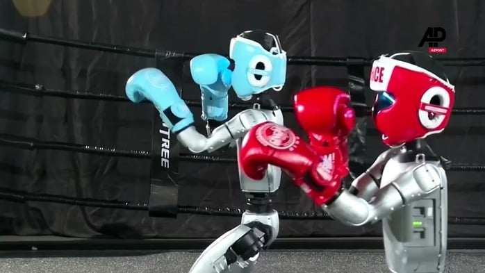 Robot hình người hăng say tập luyện trên võ đài, tung cú đấm như võ sĩ- Ảnh 2.
