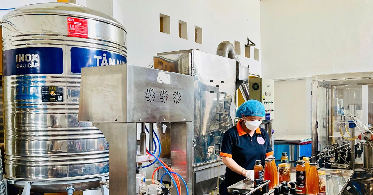 Improve the capacity and efficiency of cooperative operations