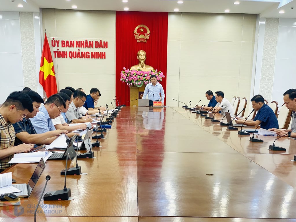 សមមិត្ត Nghiem Xuan Cuong - អនុប្រធានគណៈកម្មាធិការប្រជាជនខេត្ត បានដឹកនាំកិច្ចប្រជុំដើម្បីស្តាប់របាយការណ៍ស្តីពីវឌ្ឍនភាពនៃការផ្តល់អាជ្ញាប័ណ្ណ និងប្រគល់តំបន់សមុទ្រសម្រាប់វារីវប្បកម្ម។