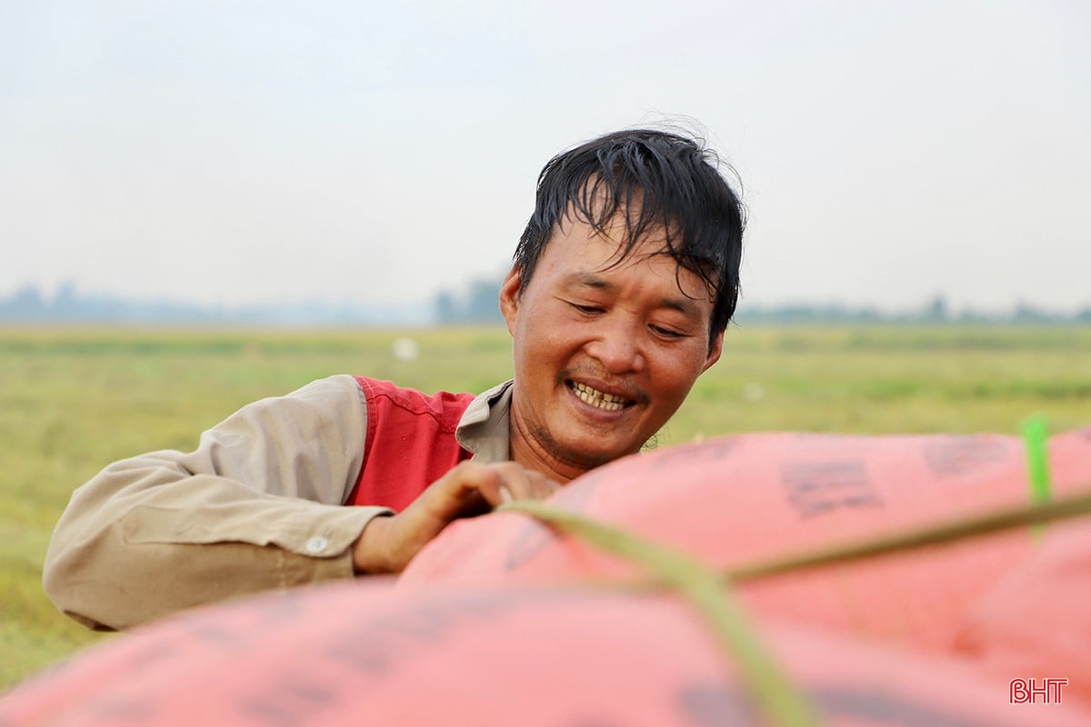 Dù là nghề phụ nhưng công việc chở lúa thuê cũng đã đem lại nguồn thu nhập đáng kể cho ông Hùng.
