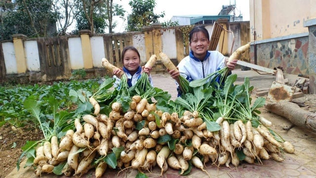 Đủ kiên trì rác sẽ nở hoa- Ảnh 4.