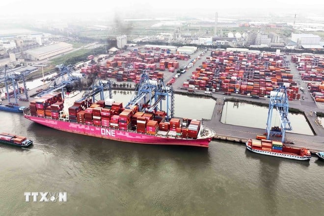 Hoạt động tại Cảng Quốc tế Tân Cảng - Cái Mép ở phường Tân Phước, Thị xã Phú Mỹ, tỉnh Bà Rịa - Vũng Tàu.