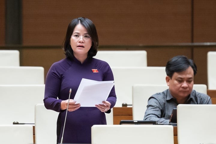 Đại biểu Nguyễn Hoàng Bảo Trân phát biểu sáng nay.