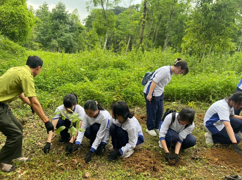 Những giờ học sống động của học sinh chuyên Sinh tại Vườn quốc gia Cúc Phương ảnh 2