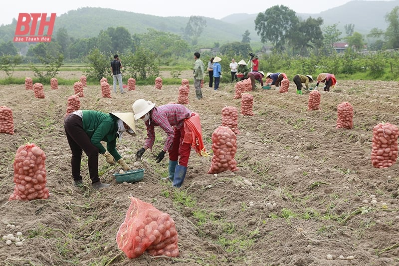 Construcción de la cadena de suministro de productos agrícolas