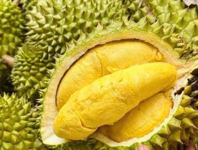 នាយក​រដ្ឋមន្ត្រី​បញ្ជា​ការ​រៀបចំ​រចនាសម្ព័ន្ធ​ផលិតកម្ម​ឡើង​វិញ ជំរុញ​ការ​នាំ​ចេញ​ទុរេន​ប្រកប​ដោយ​និរន្តរភាព
