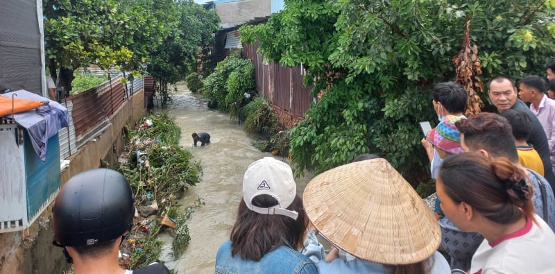 Una estudiante de quinto grado en Dong Nai fue arrastrada por el agua del arroyo después de fuertes lluvias.