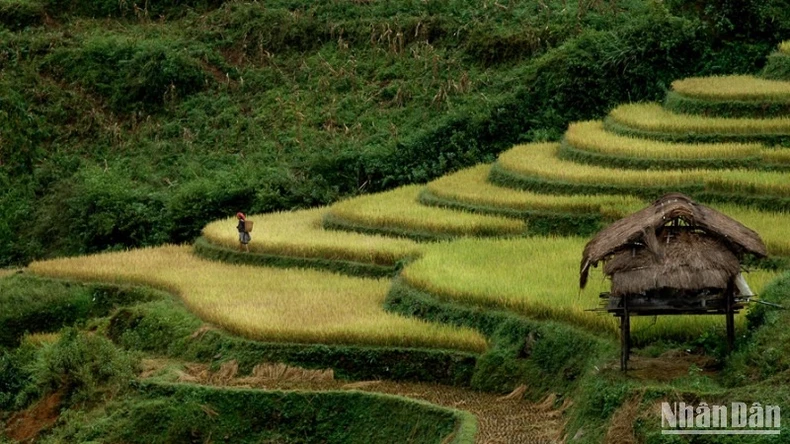Restructuring tourism, preserving identity photo 4