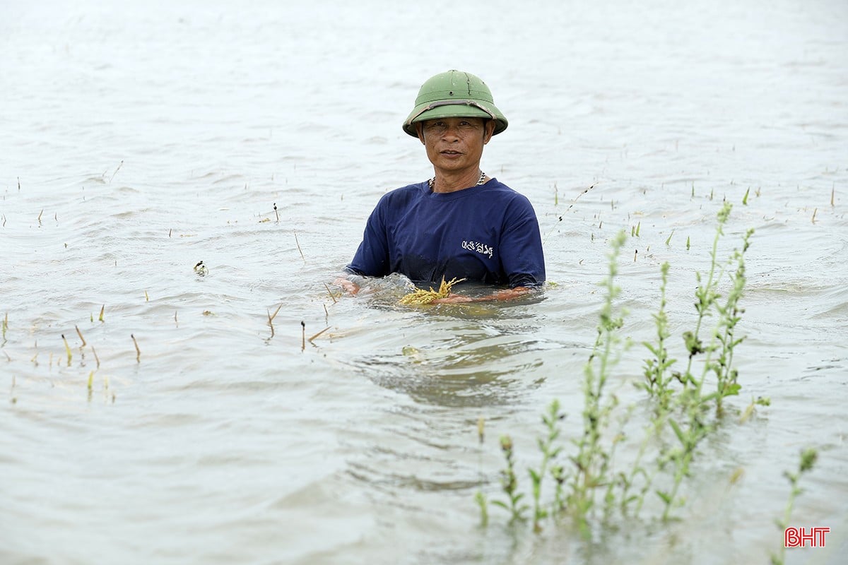 bqbht_br_mua-lu-o-ha-tinh-3.jpg
