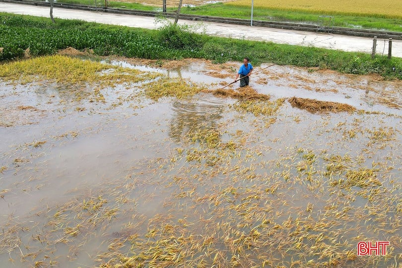 Mưa lớn đã gây thiệt hại nặng nề cho người dân Hà Tĩnh.