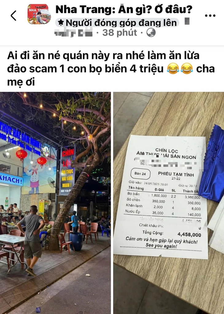 bọ biển - Ảnh 1.