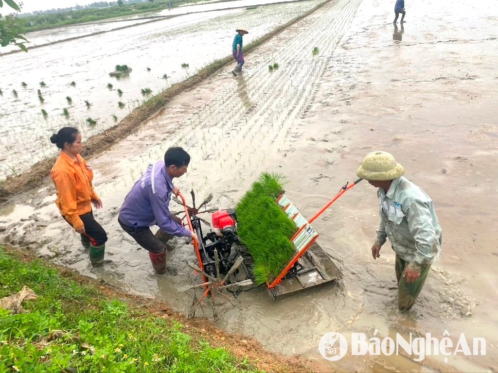វ៉ាល់ m34
