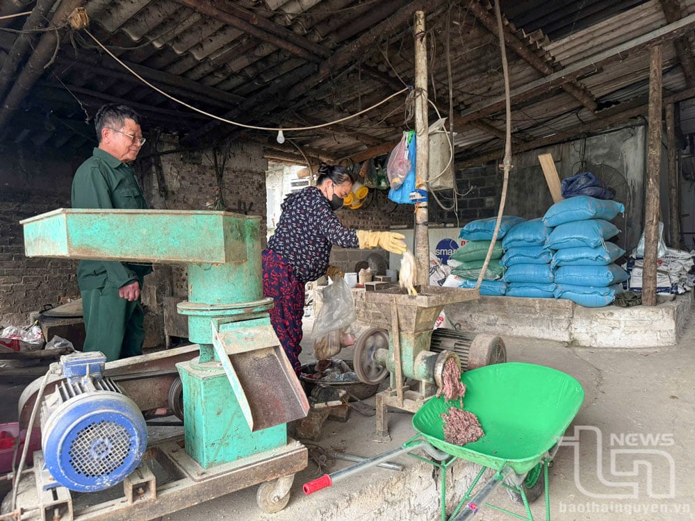 Nhiều hộ dân ở Thái Nguyên đã tiếp cận tiến khoa học kỹ thuật, áp dụng vào chăn nuôi tuần hoàn, giúp nâng cao hiệu quả kinh tế và bảo vệ môi trường.