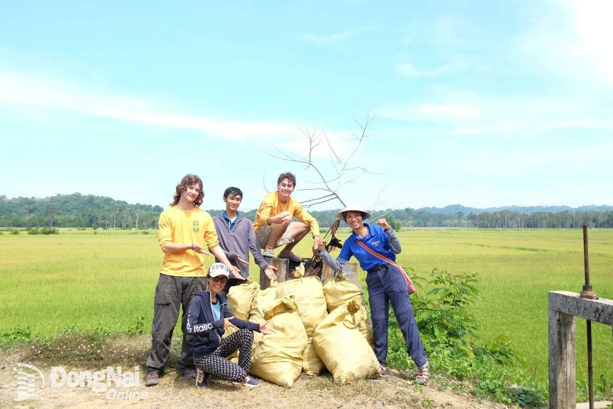 タライのゴミ収集は、地元の人々、観光客、そしてタライを訪れる外国人ボランティアの貢献によって行われます。写真:K.Ka