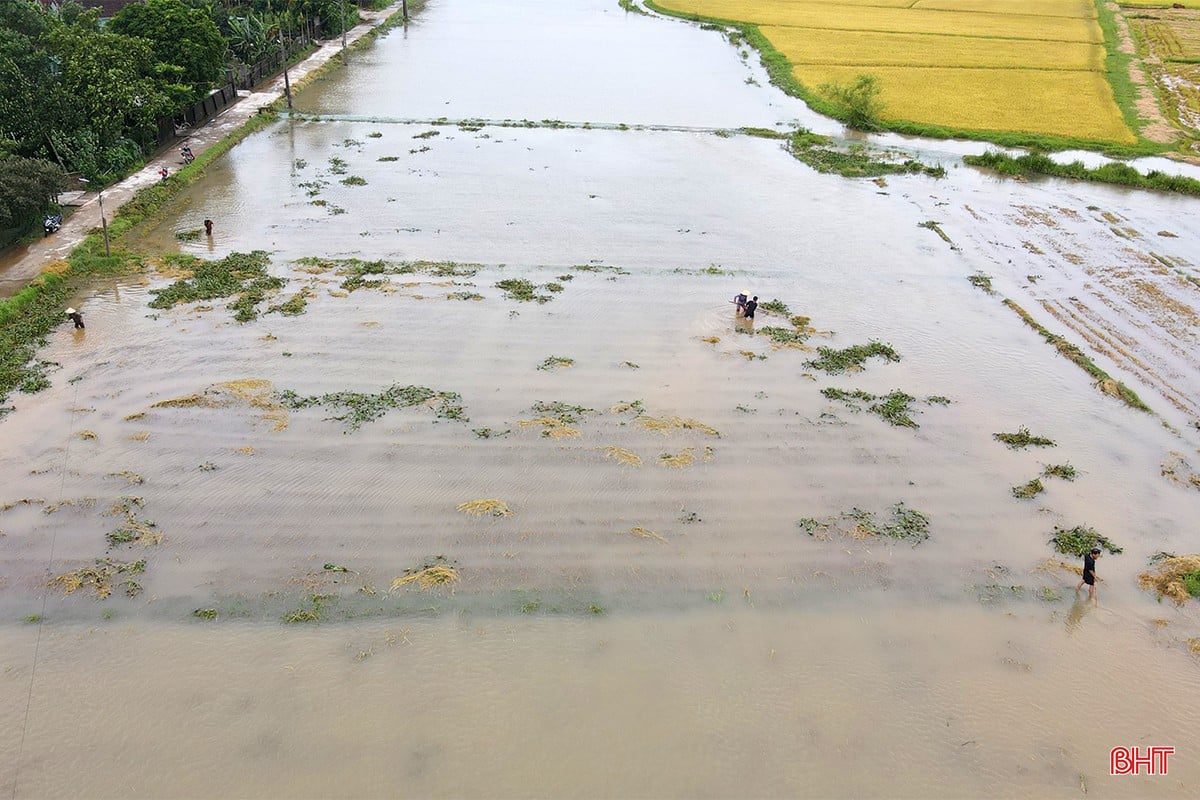 bqbht_br_mua-lu-o-ha-tinh-14c.jpg