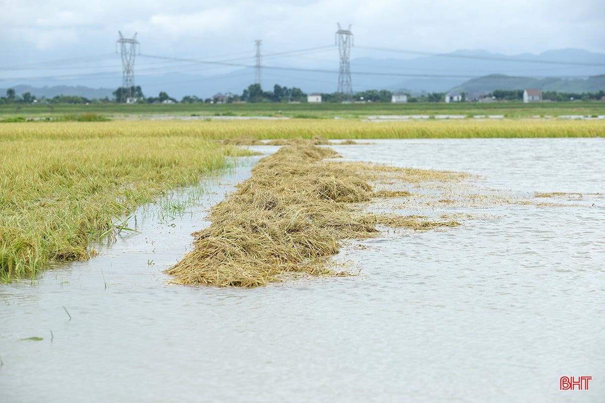 bqbht_br_mua-lu-o-ha-tinh-1.jpg