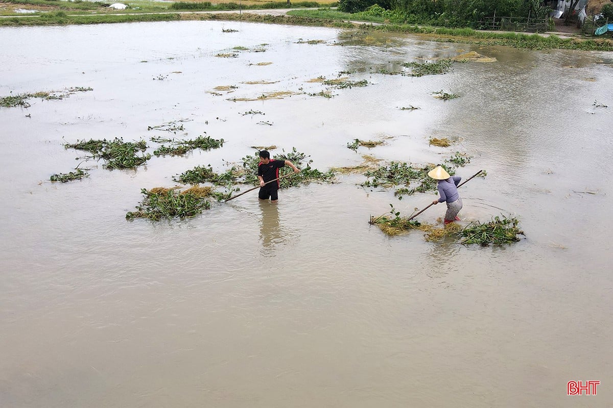 bqbht_br_mua-lu-o-ha-tinh-14a.jpg