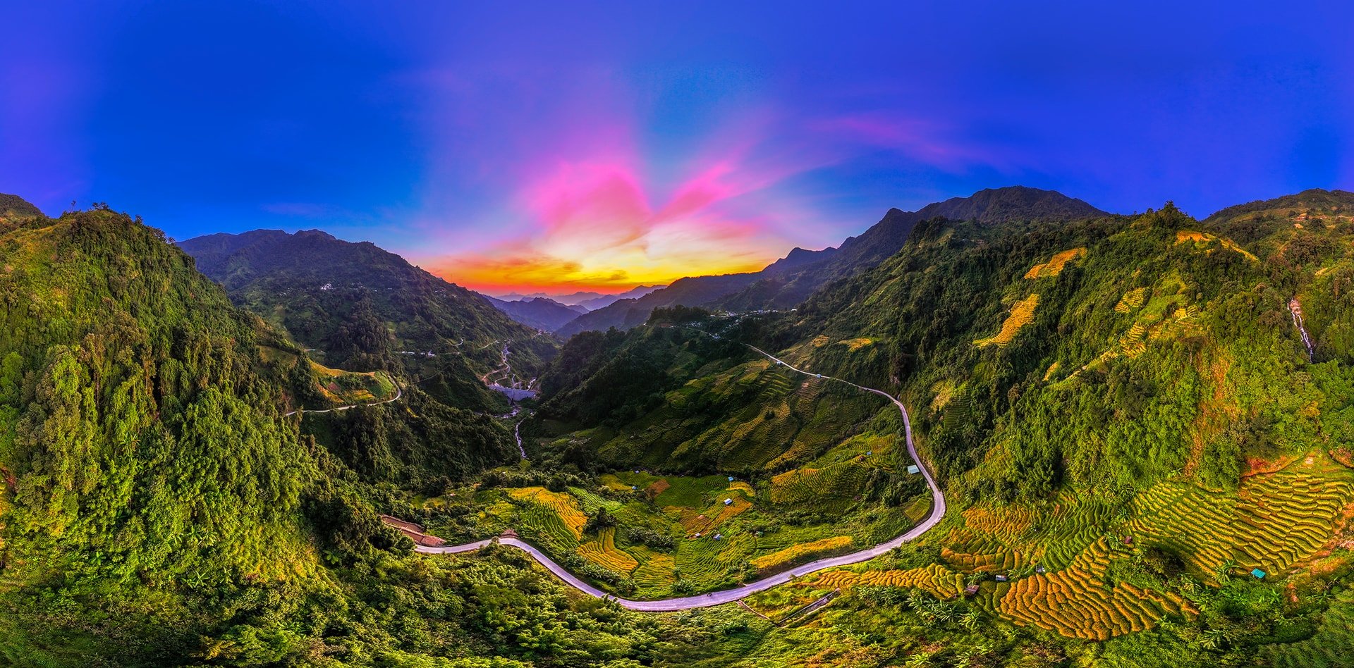 Mùa vàng trên đỉnh Ngọc Linh (LÊ TRỌNG KHANG)