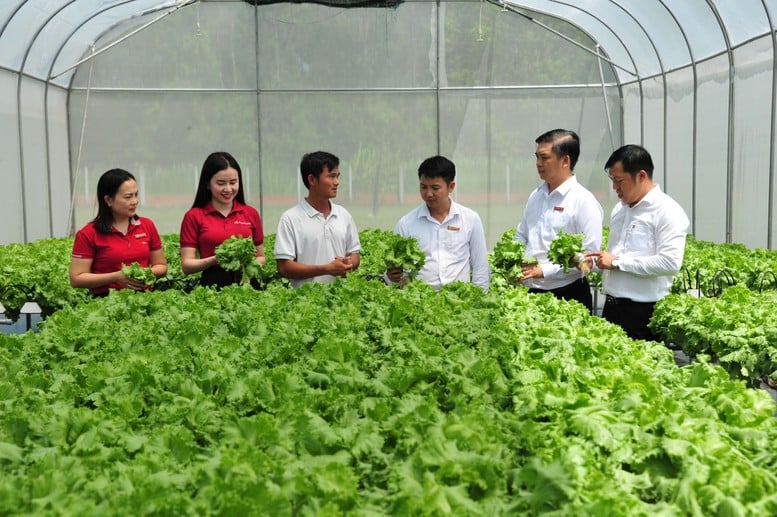 Agribank mở rộng phạm vi và nâng quy mô chương trình tín dụng ưu đãi lĩnh vực nông, lâm, thủy sản- Ảnh 2.