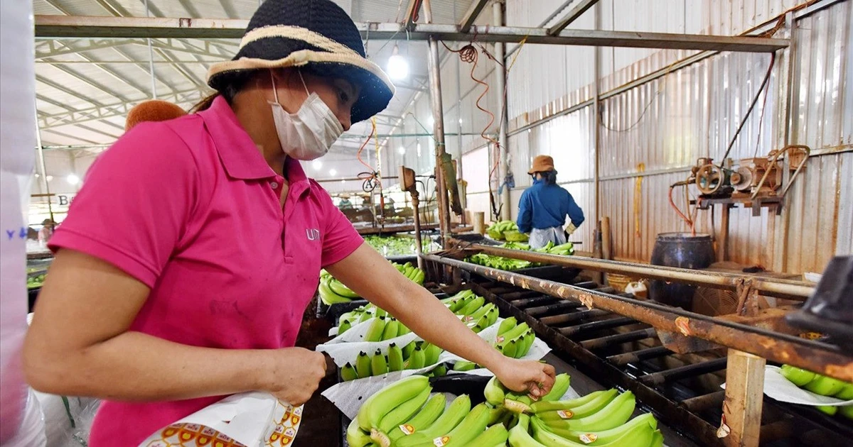 Elevating agricultural products