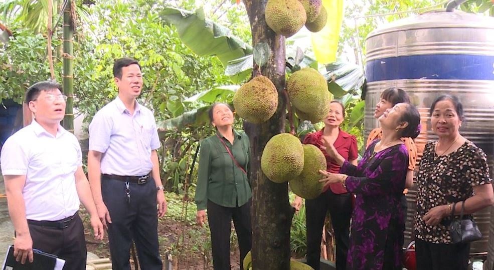 Les fonctionnaires du district de Phuc Tho ont inspecté le jardin de jacquier de la famille de Mme Bui Thi Hong, village 4, commune de Nam Ha, district de Phuc Tho. Photo : Minh Tuyet
