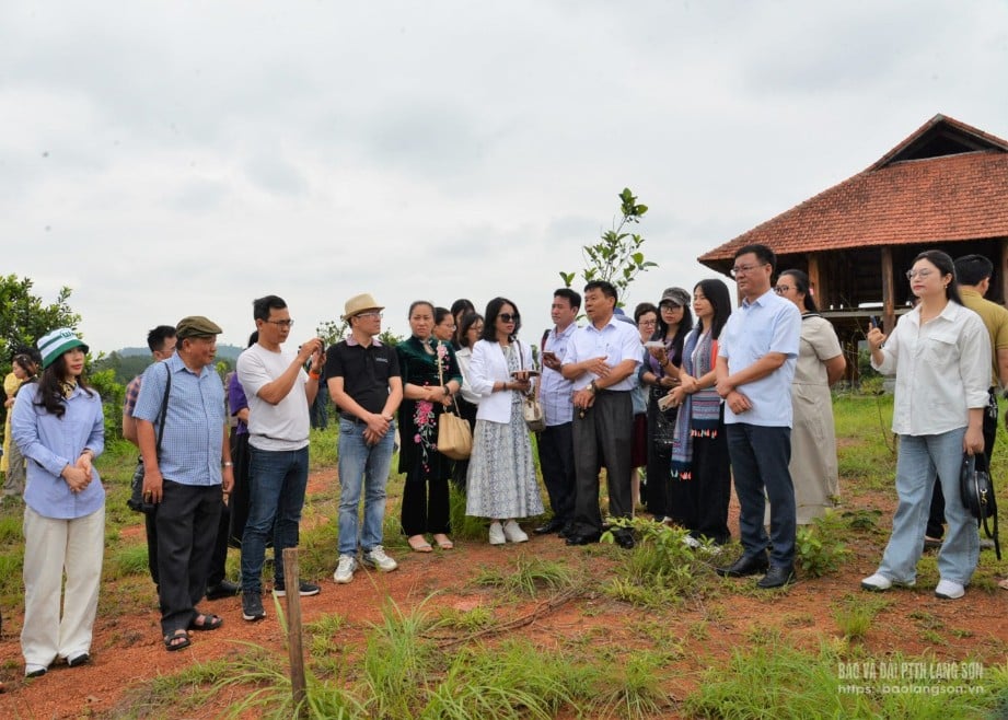 Equipo de inspección en el área de cultivo de macadamia de la Sociedad Anónima Agrícola y Forestal Duc Nga, comuna de Loi Bac, distrito de Loc Binh.