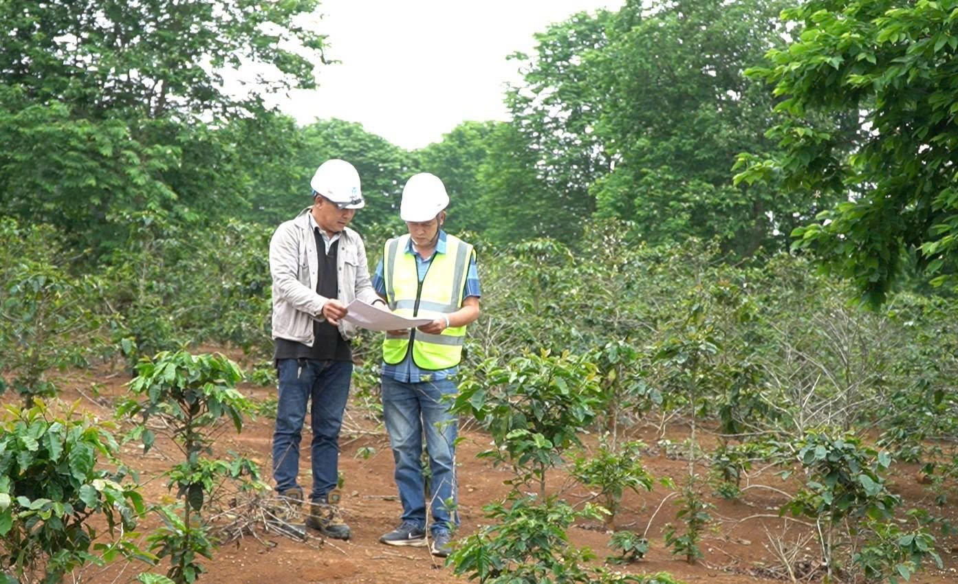 Huong Hoa: Will forcibly reclaim land to build a 2,100 billion VND wind power plant
